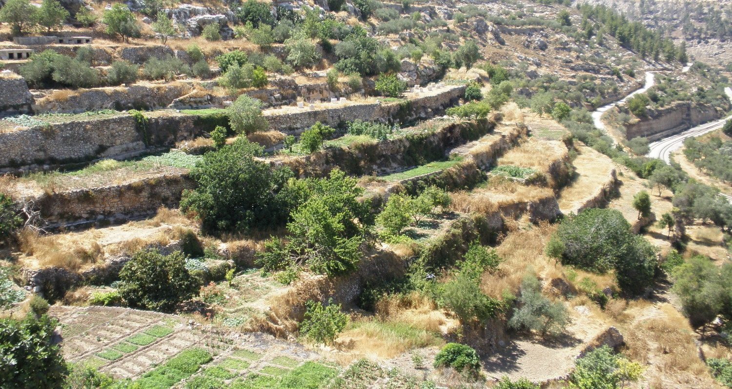 Hillside near Battir - The village of Battir, located south of Jerusalem, with a landscape that includes terraces and irrigation channels dating to the Roman Period (Forensic Architecture)