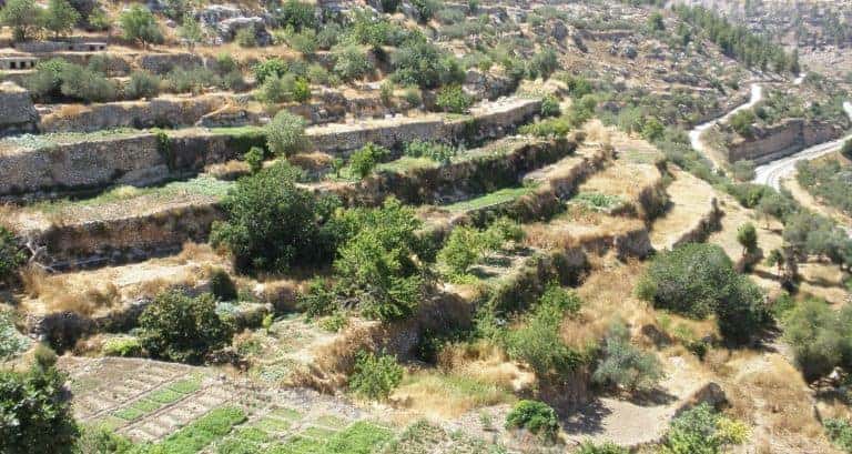 Hillside near Battir - The village of Battir, located south of Jerusalem, with a landscape that includes terraces and irrigation channels dating to the Roman Period (Forensic Architecture)
