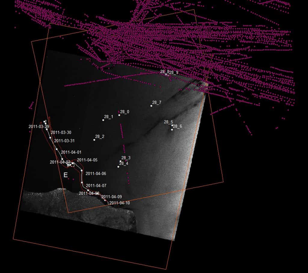 AIS data – 2 - A satellite image from 28 March 2011  with vessel detection (white) and AIS data overlaid (purple). (Forensic Oceanography)