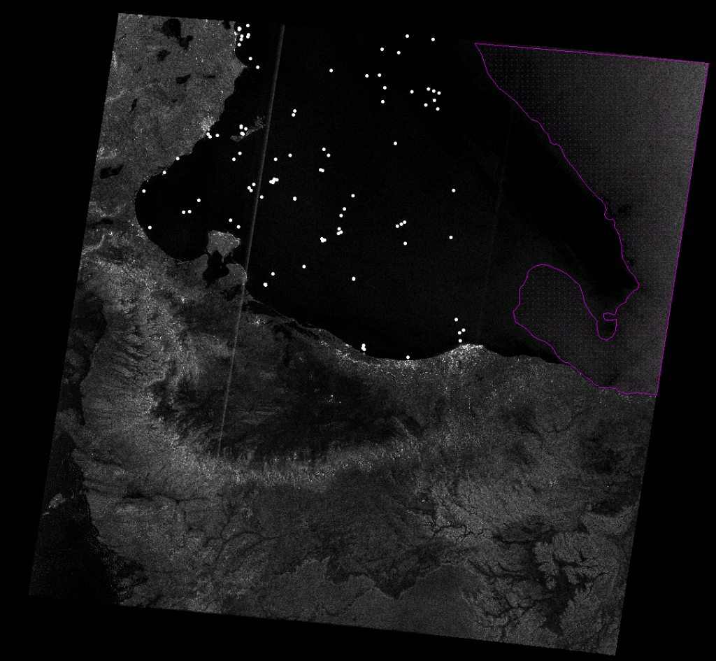 Radarsat-1 data - Radarsat-1 data from 4 April 2011. White indicates 'returns', which indicates the location of vessels. The dotted area on the eastern side contains too much 'background noise' to detect vessels. (Forensic Oceanography and Rossana Padeletti)