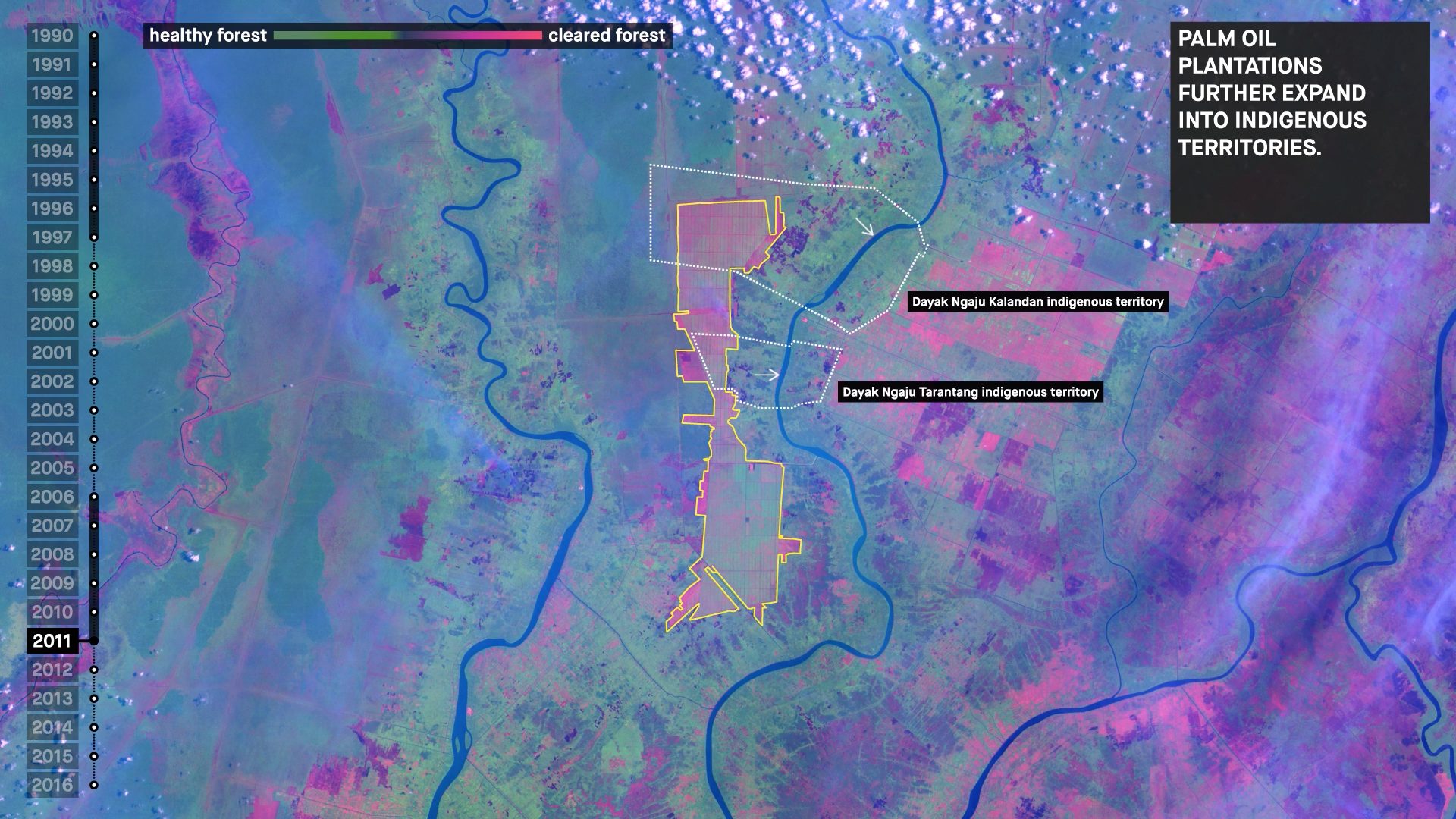 Satellite imagery – 2 – damage to communities - Expansion of palm oil plantations into the territories of the indigenous Dayak communities. This plantation work lead to massive forest and peat fires in 2015, resulting in extensive damage to these communities and the ecosystems of which they are a part. (Forensic Architecture/FIBGAR)