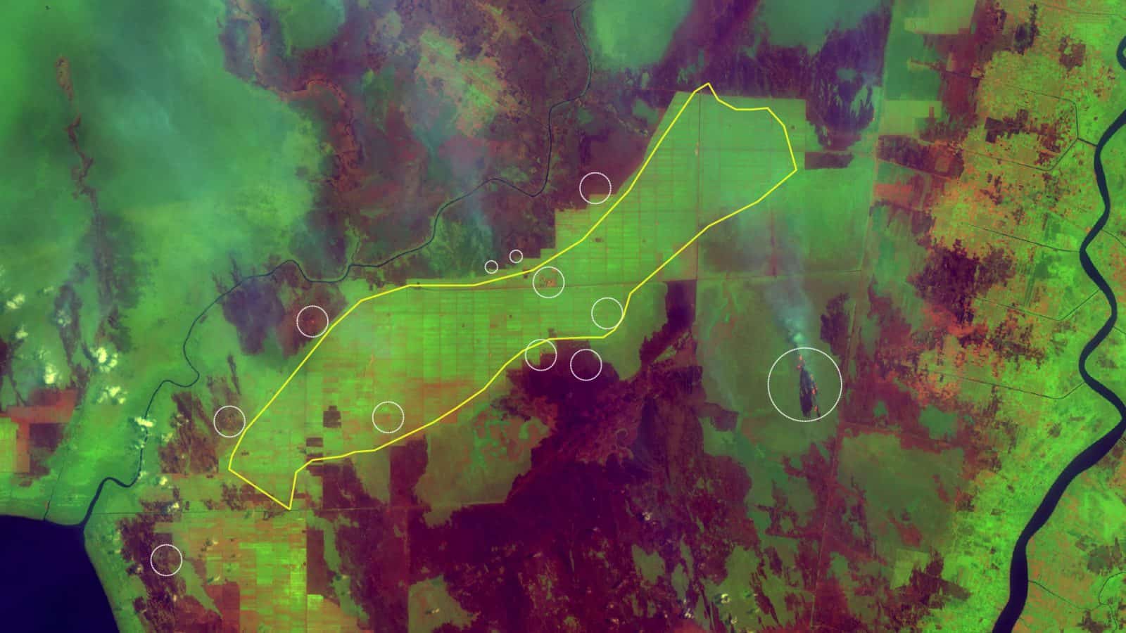 b - Source of fire within the boundaries of the concession site belonging to the Best Agro Group.