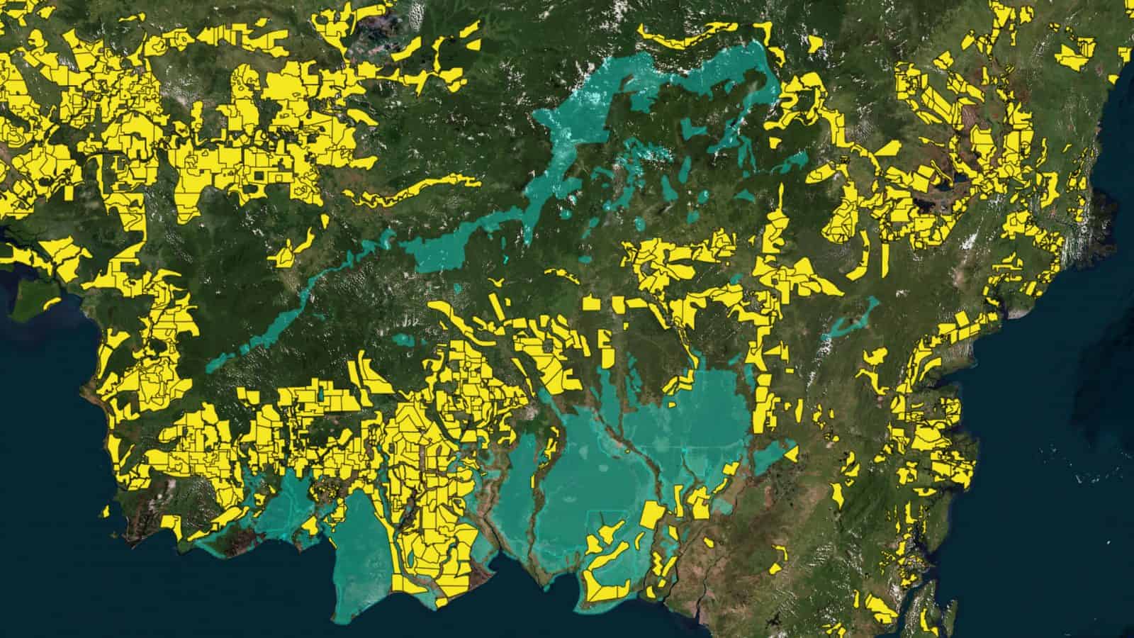 sites - Shared border between moratoriums and palm oil concession sites.