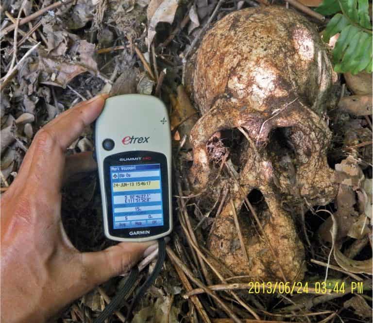 Orangutan Skull in Central Kalimantan - A Greenpeace investigation team with FNPI documents an orangutan skull beside an oil palm plantation owned by PT Bumi Langgeng Perdanatrada, a subsidiary of BW
Plantation Group, near Tanjung Puting National Park in Central Kalimantan.
