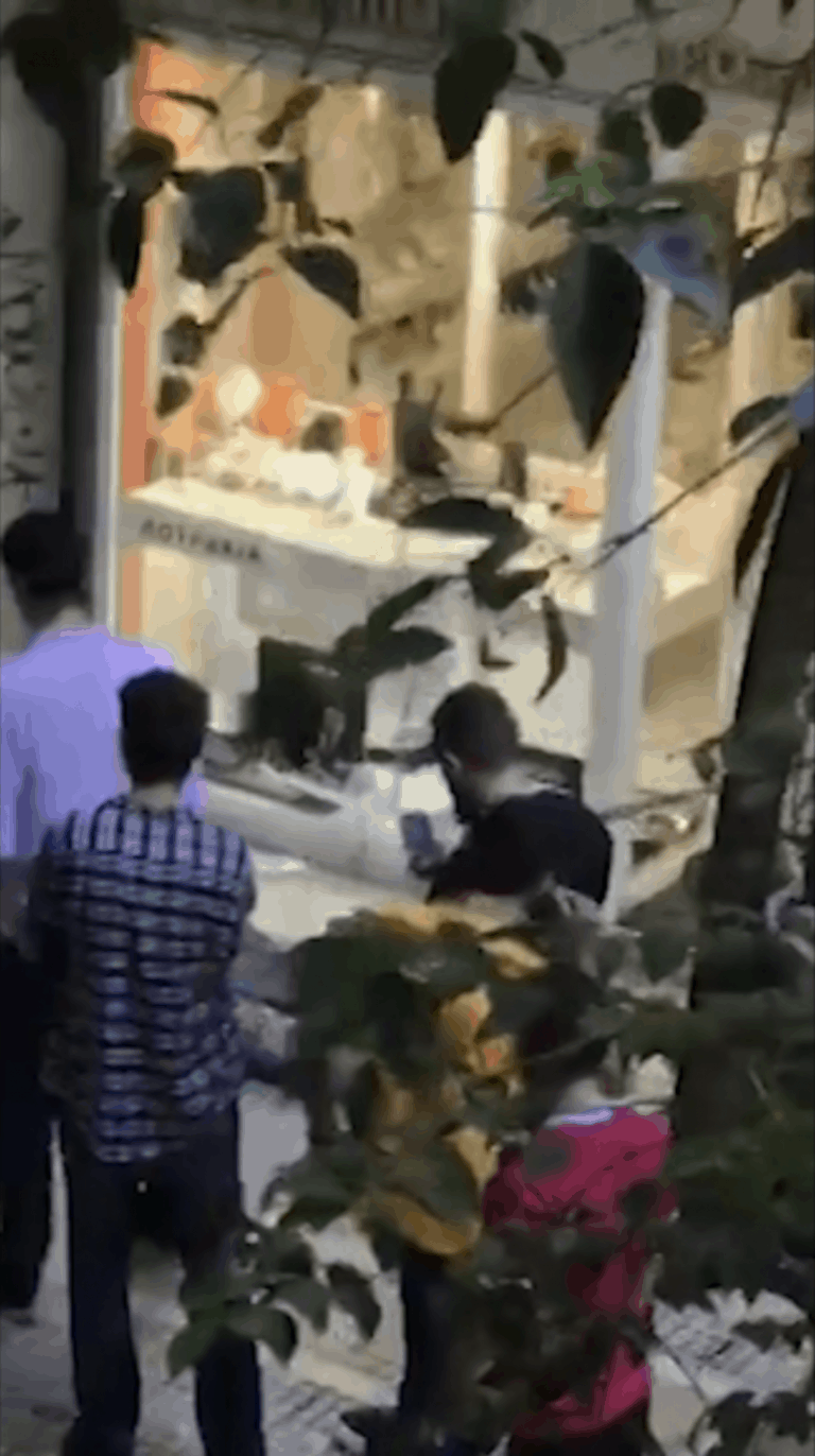 Passers-by – 2 - The killing of Zak Kostopoulos was captured by numerous passers-by. (Forensic Architecture)