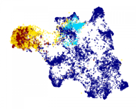 Dataset 1 - Dataset 1