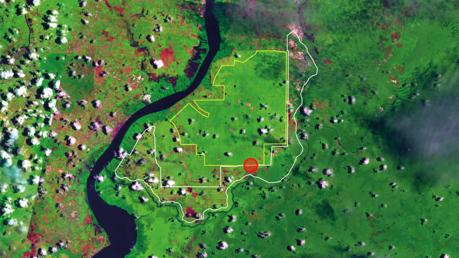 grave-location - Location of orang-utan mass grave between two palm oil plantation site.