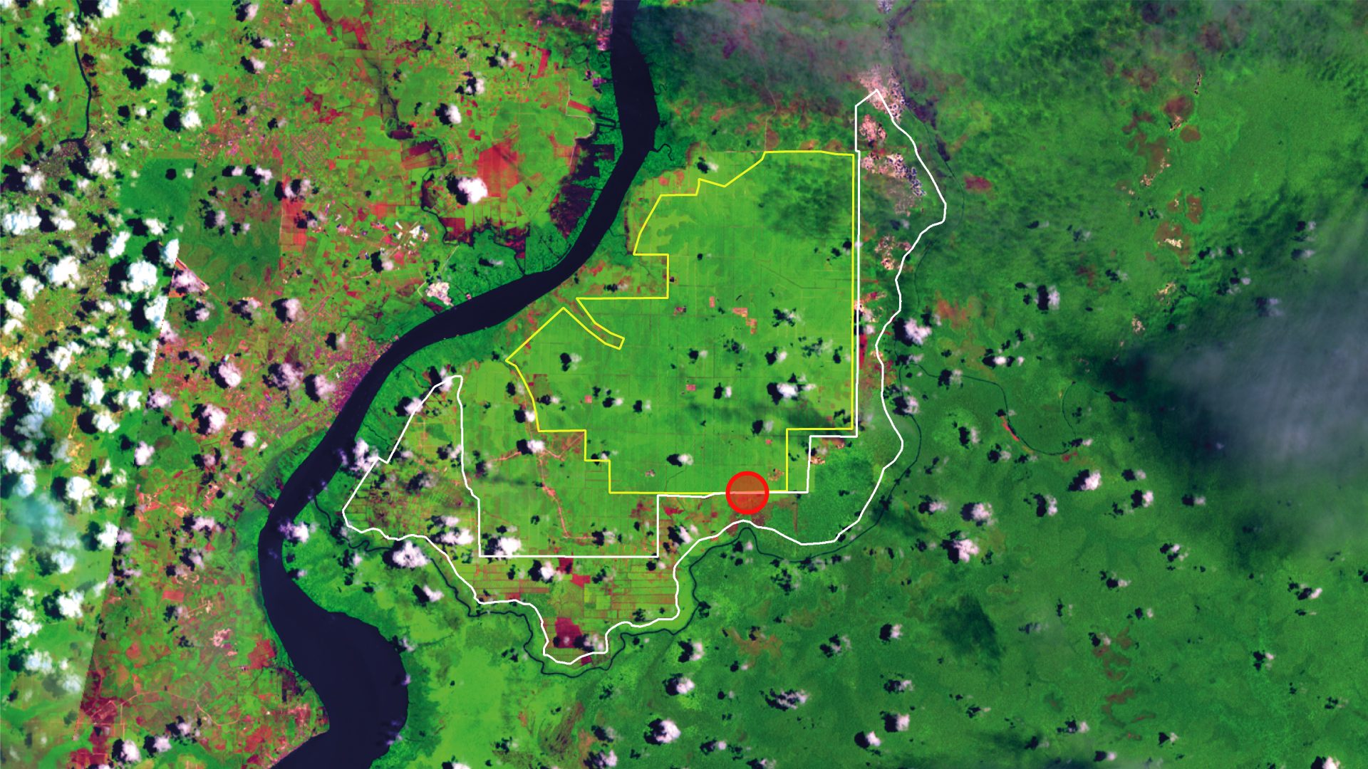 grave-location - Location of orang-utan mass grave between two palm oil plantation site.