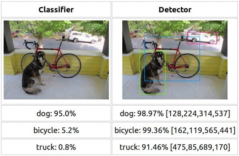 Classification vs Detection