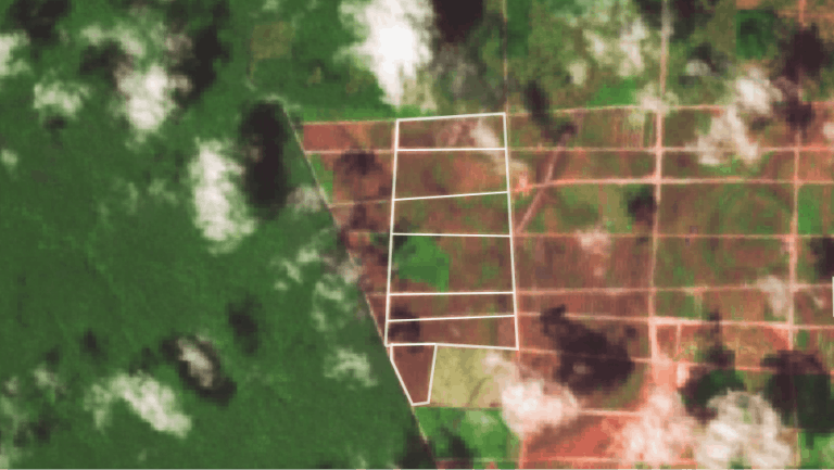 1-C - The arrangement of the visible network of roads in this video, Matches with the shape of the cleared land in a satellite image from a short few weeks after.