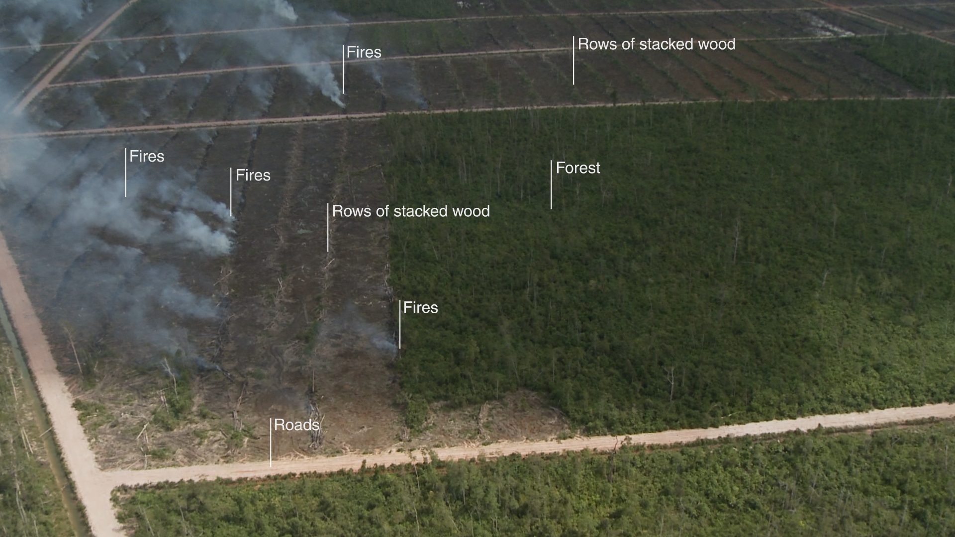 Sources of fire in PT Dongin Parabhawa. 26 March 2013. Source: Greenpeace International - Sources of fire in PT Dongin Parabhawa. 26 March 2013. Source: Greenpeace International