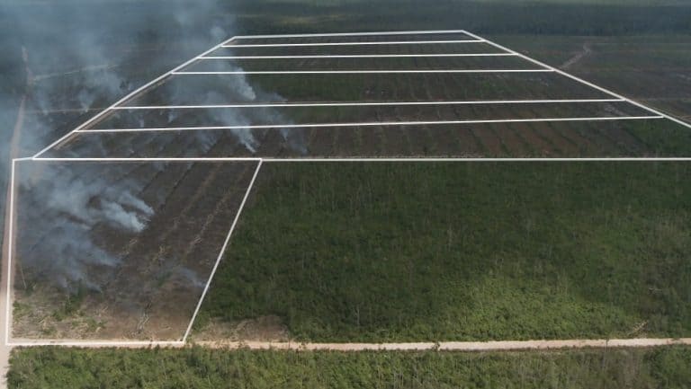 1-b - The arrangement of the visible network of roads in this video, Matches with the shape of the cleared land in a satellite image from a short few weeks after.