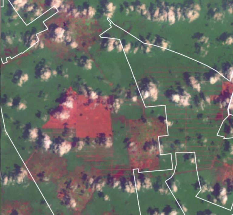 4-d - Comparison of land clearing in concessions operated by Indonusa.