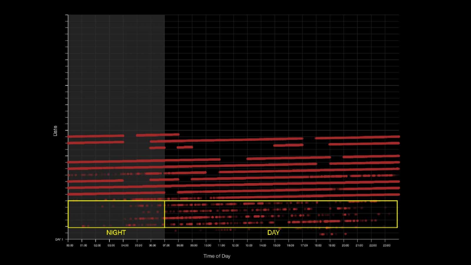large-01 - Location signals following a day/night pattern from Israel/Palestine dataset. (Forensic Architecture, 2020)