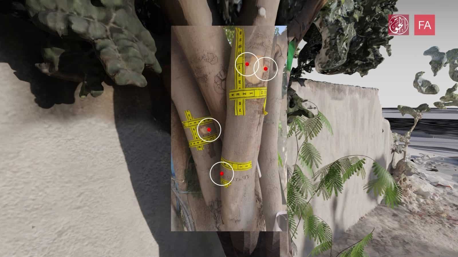 tree photomatch - Photomatched image of the tree with 4 bullet marks. (Forensic Architecture and Al-Haq, 2022)