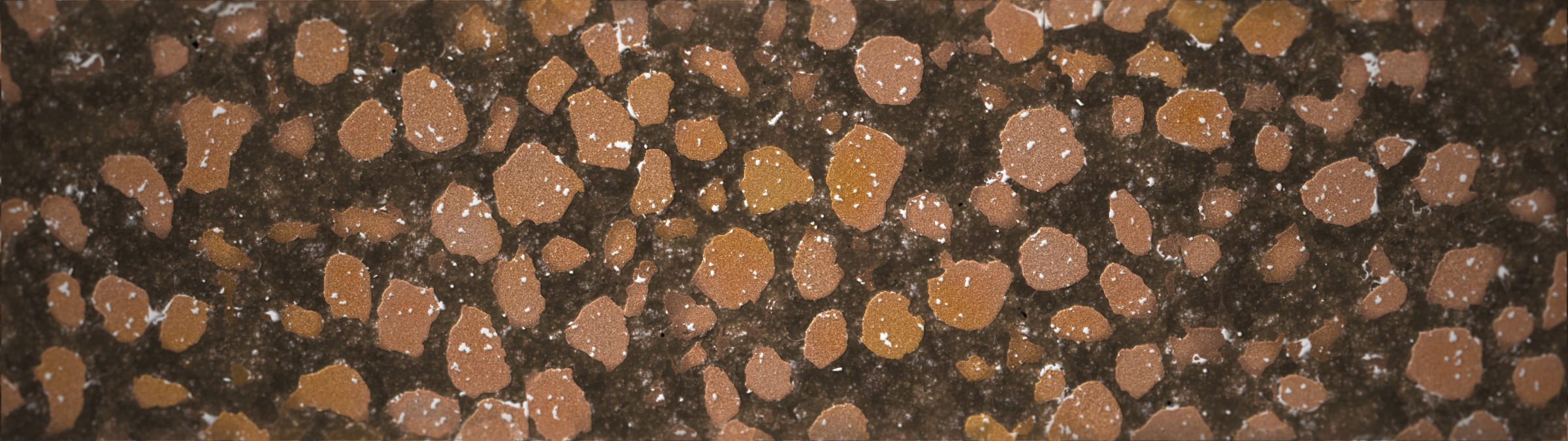 Cultivating digital soil - A rendered image taken from an agent-based model with input parameters ranging from soil mineral content, aggregate size, worm activity, depth of occupation layer, and density of fragments of burnt daub. This render approximates the soil density and structure between 65 and 100 cm beneath the surface of the ground, at which point archaeological fragments can begin to be seen. (Forensic Architecture, 2023)