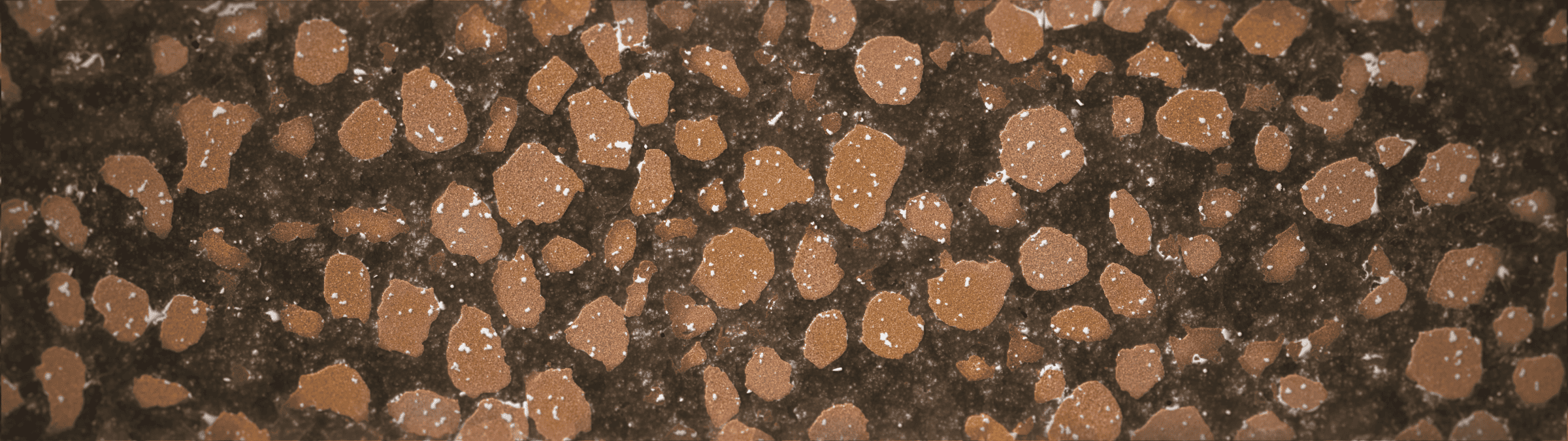 Cultivating digital soil - A rendered image taken from an agent-based model with input parameters ranging from soil mineral content, aggregate size, worm activity, depth of occupation layer, and density of fragments of burnt daub. This render approximates the soil density and structure between 65 and 100 cm beneath the surface of the ground, at which point archaeological fragments can begin to be seen. (Forensic Architecture, 2023)