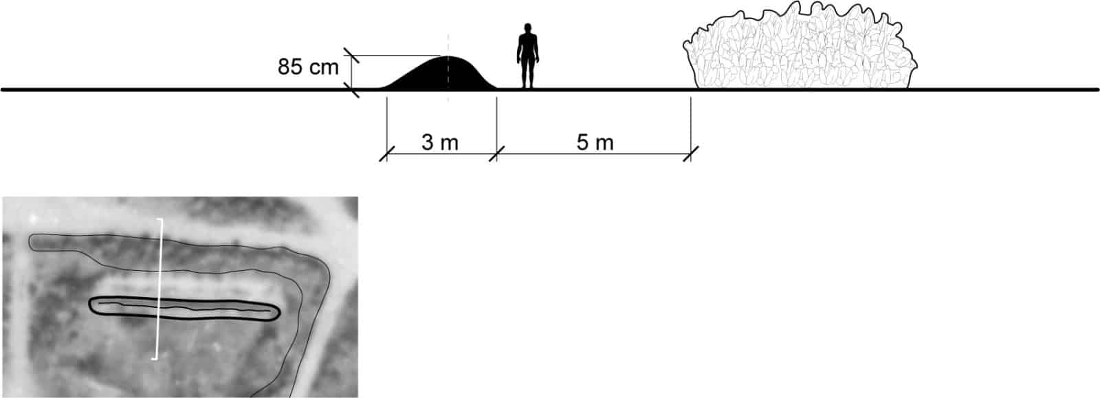 Tantura_5 - Sectional drawing of E1 showing dimensions of mound and its distance from the cactus bush. (Forensic Architecture, 2023)