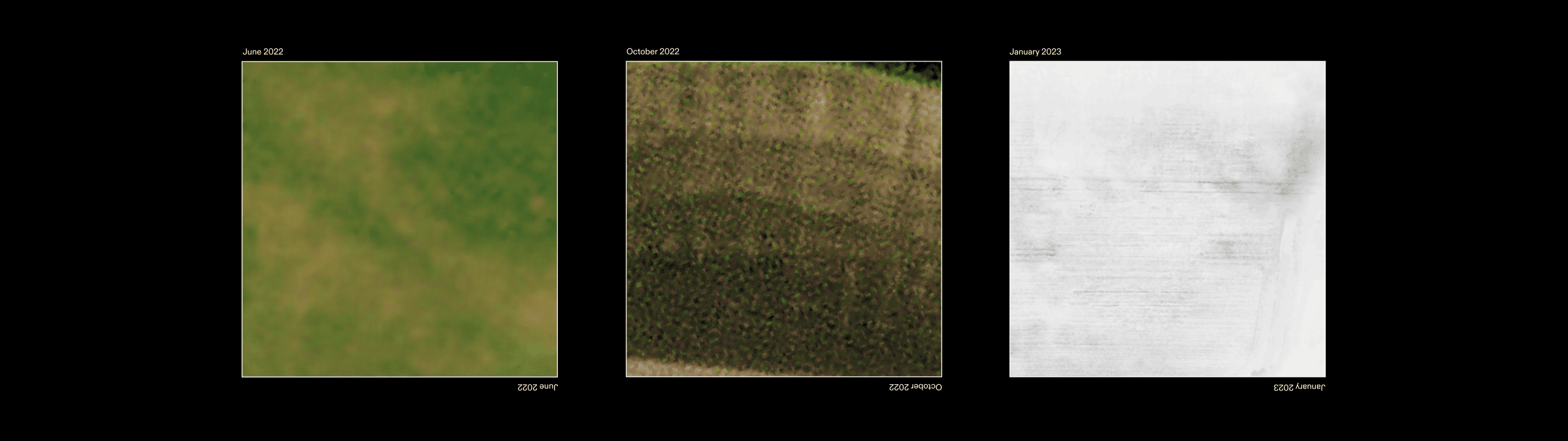 Cropmarks and snow marks - Details of cropmarks and snow marks as seen through satellite images, revealing the settlement of Nebelivka across different seasons. (Forensic Architecture, 2023)