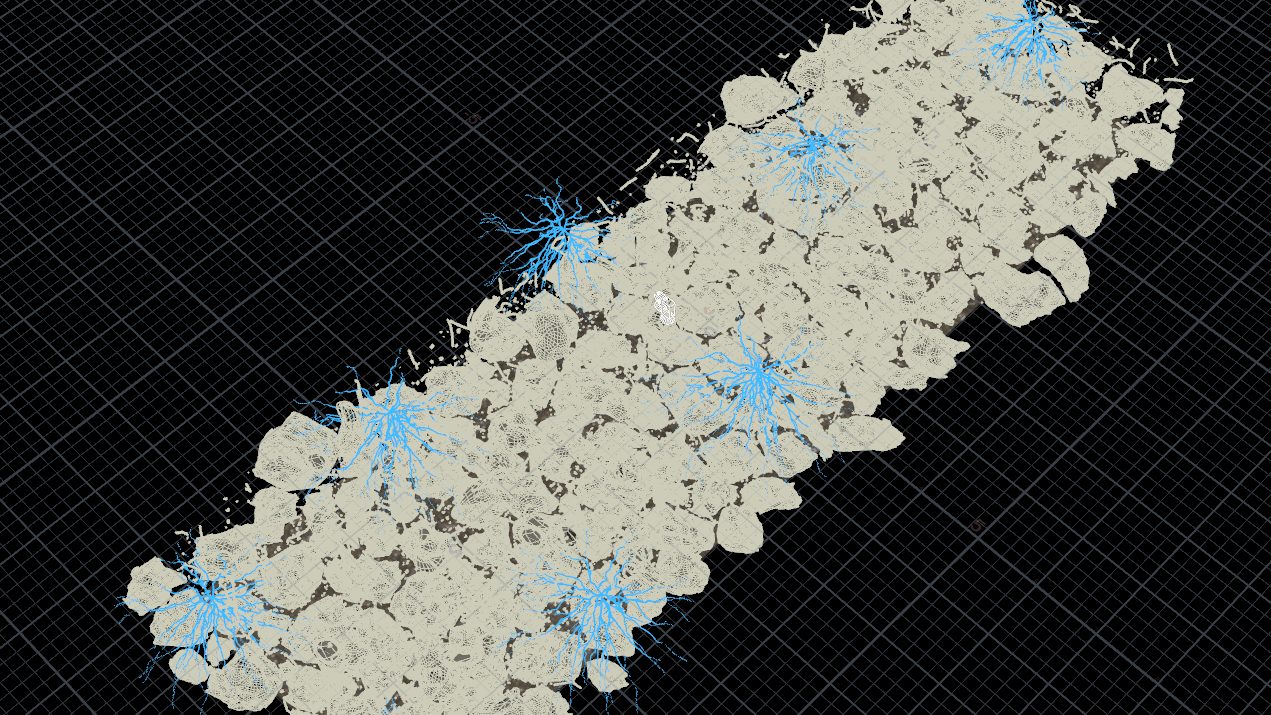 Wireframe view of soil model - Wireframe view of the structure of the soil composed of worms’ channels, debris, minerals and plant roots. Sunflower roots are highlighted in blue. (Forensic Architecture, 2023)