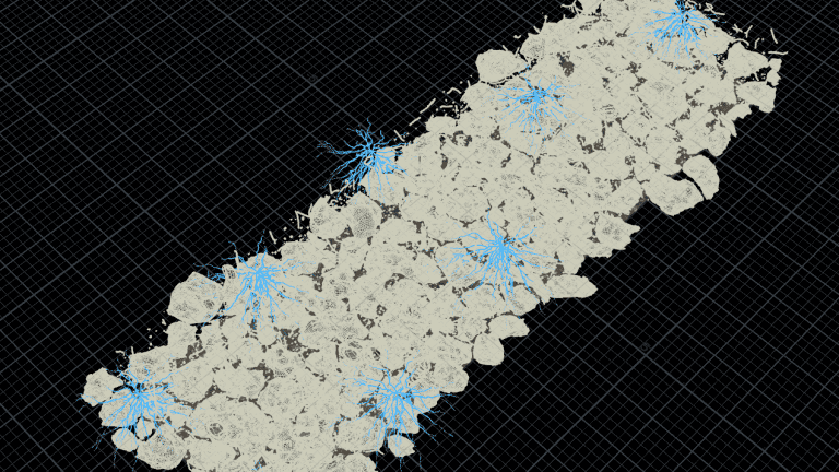 Wireframe view of soil model - Wireframe view of the structure of the soil composed of worms’ channels, debris, minerals and plant roots. Sunflower roots are highlighted in blue. (Forensic Architecture, 2023)