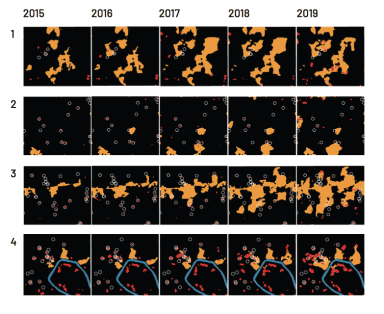  - Cattle, coca, and fumigation, Nukak reservation, Colombia (Credit: Paulo Murillo Sandoval)