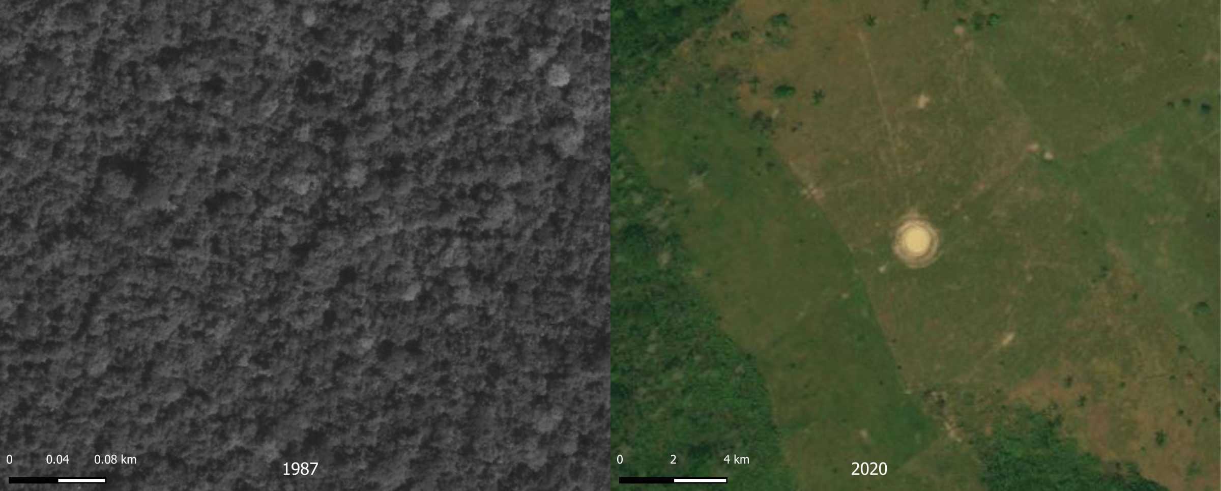  - Deforestation detail, Nukak reservation, Colombia