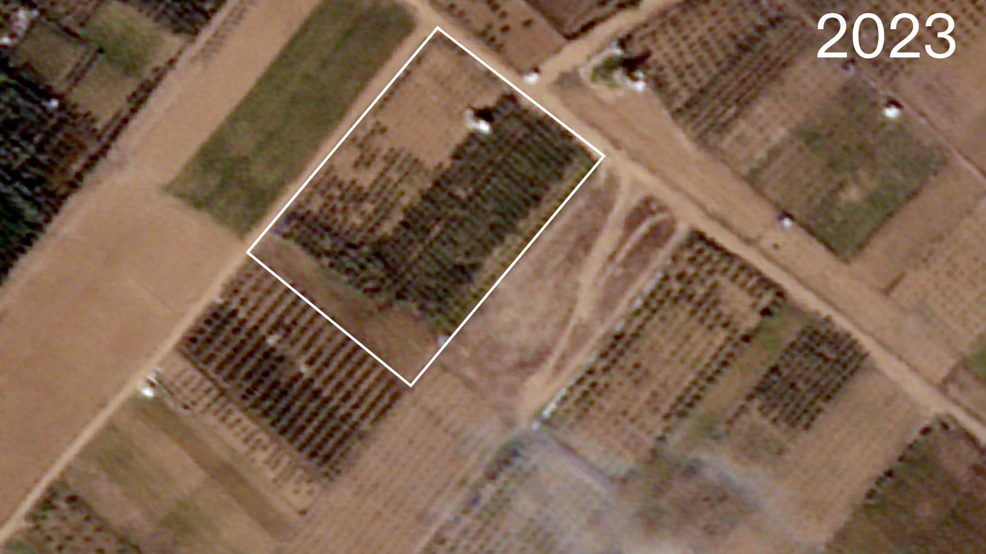  - Figure 2. Annotated satellite image from November 2023 shows the growth of the Abu Suffiyeh family’s orchard. External image source: Planet Labs PBC (Forensic Architecture, 2024)