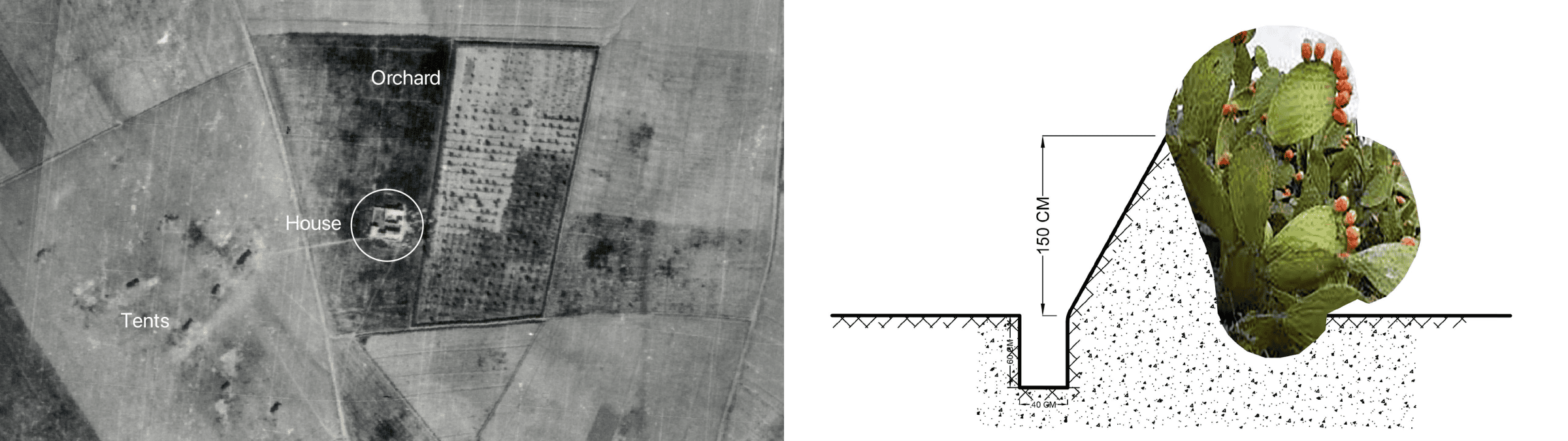  - Sheikh Hussein’s house was positioned between his orchard (karm) and a grouping of tents. The orchard was surrounded by a cactus fence. Left: An aerial image captured by the Royal Air Force (RAF) in 1945. Right: A drawing by Salman Abu Sitta showing the cactus fence protecting the orchard. External images courtesy of Palestine Land Society. (Forensic Architecture, 2025).