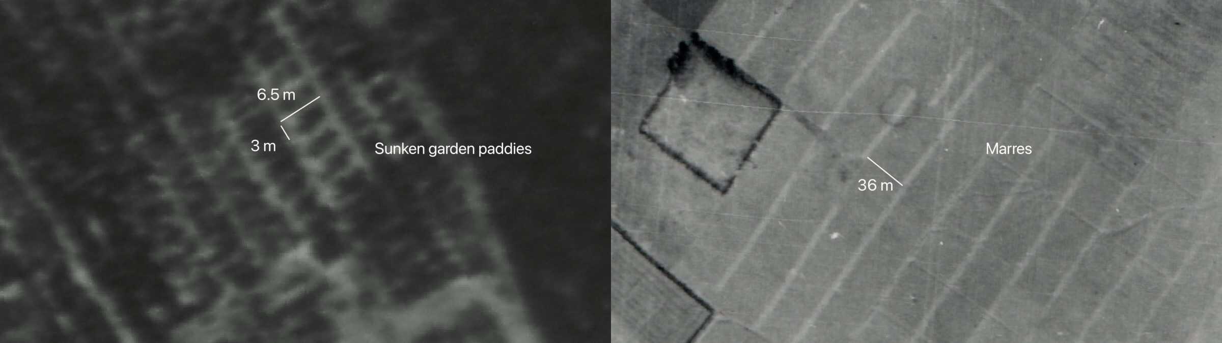  - Royal Air Force (RAF) aerial survey images from 1945 showing a grid of sunken garden paddies functioning as vegetable beds (left) and marres allowed for shared cultivation of fields (right). External images courtesy of Palestine Land Society. (Forensic Architecture, 2025)