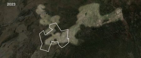 - Analytical map showing the estimated size of the traditional grazing lands of the Otjimbingwe community (light highlight) in relation to the contemporary Otjimbingwe ‘communal lands’ (white line) derived from the German-imposed ‘Native Reserve’ of the early 20th century. (Forensic Architecture/Forensis, 2025)