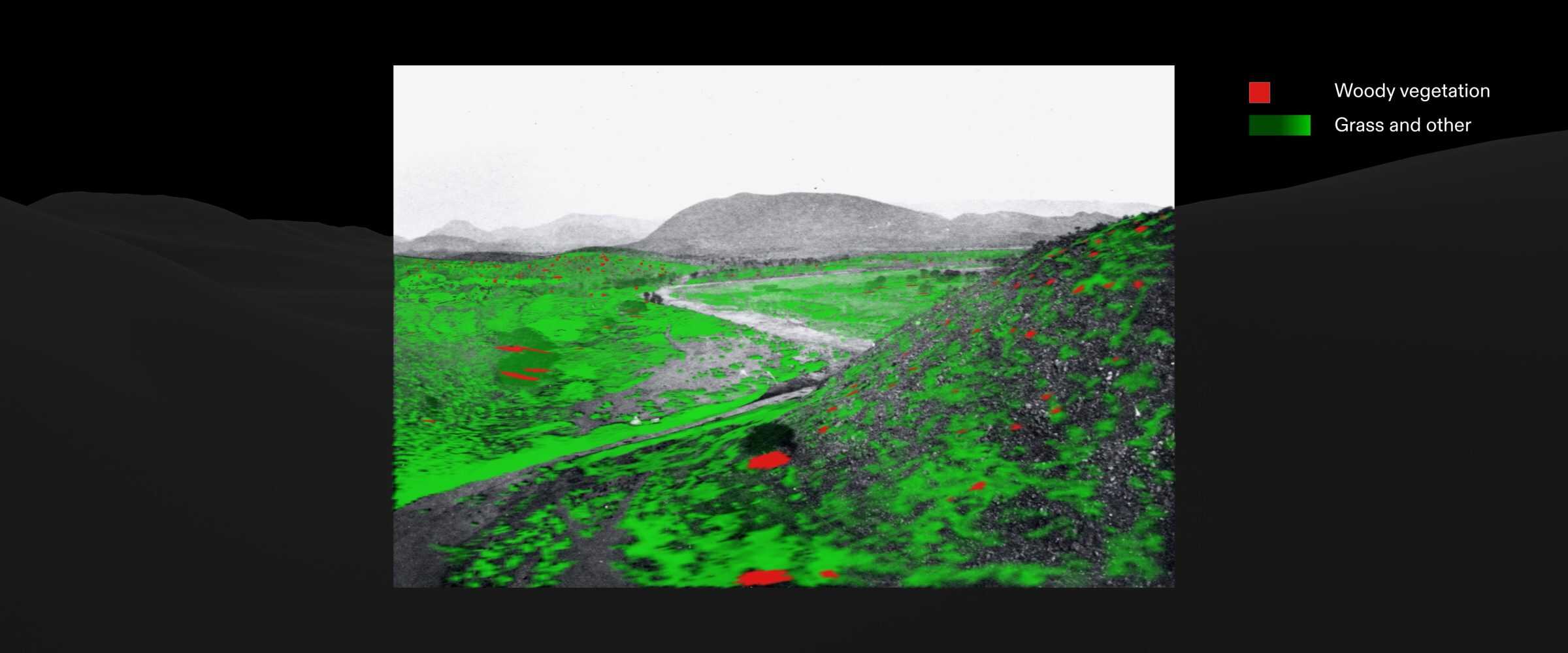  - Shades of grey in an 1876 black and white photograph of Hatsamas, Namibia index different types of vegetation. Here, bush is coded in red and grasses and other small species are coded in green. (Forensic Architecture/Forensis, 2025)