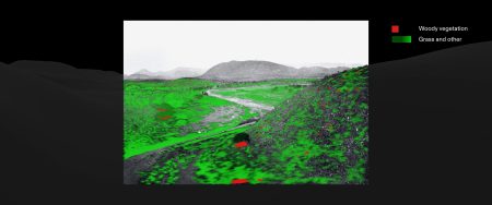 - Shades of grey in an 1876 black and white photograph of Hatsamas, Namibia index different types of vegetation. Here, bush is coded in red and grasses and other small species are coded in green. (Forensic Architecture/Forensis, 2025)