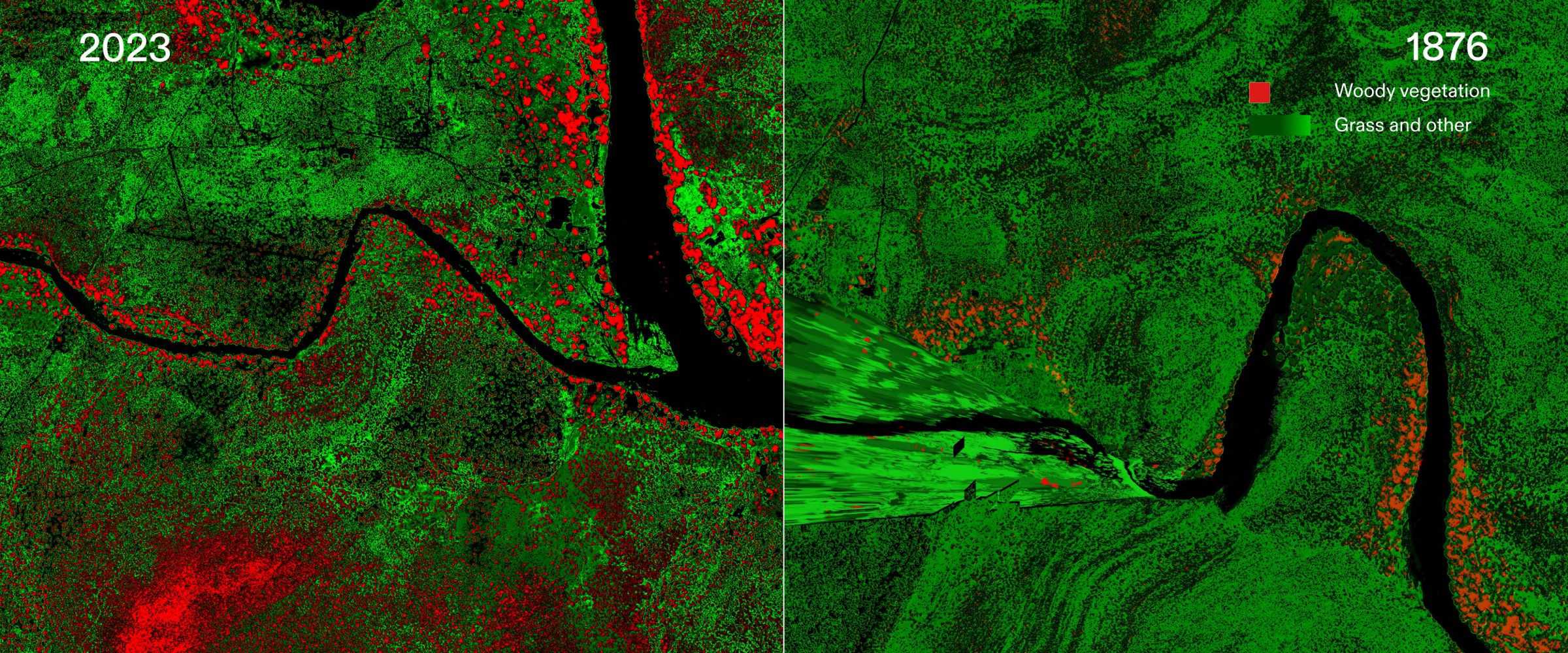 - Side-by-side comparison of species distribution maps in 2023 (right) and 1876 (left). (Forensic Architecture/Forensis, 2025)