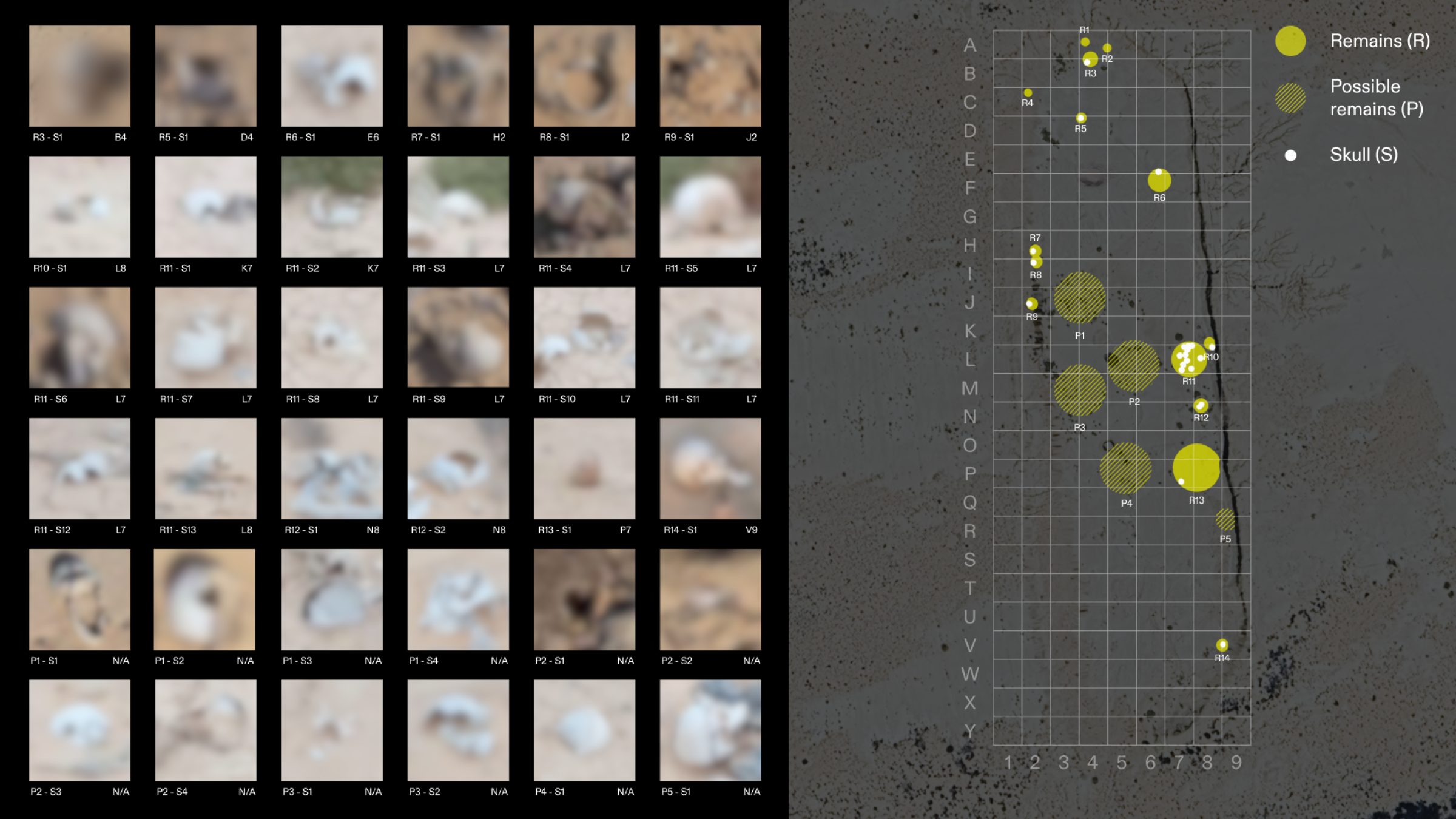  - Images of skulls (blurred for graphic content) documented at the mass grave site (left). A map of the locations of the skulls within the mass grave site (right). External image source: Sinai Foundation for Human Rights. (Forensic Architecture, 2025)