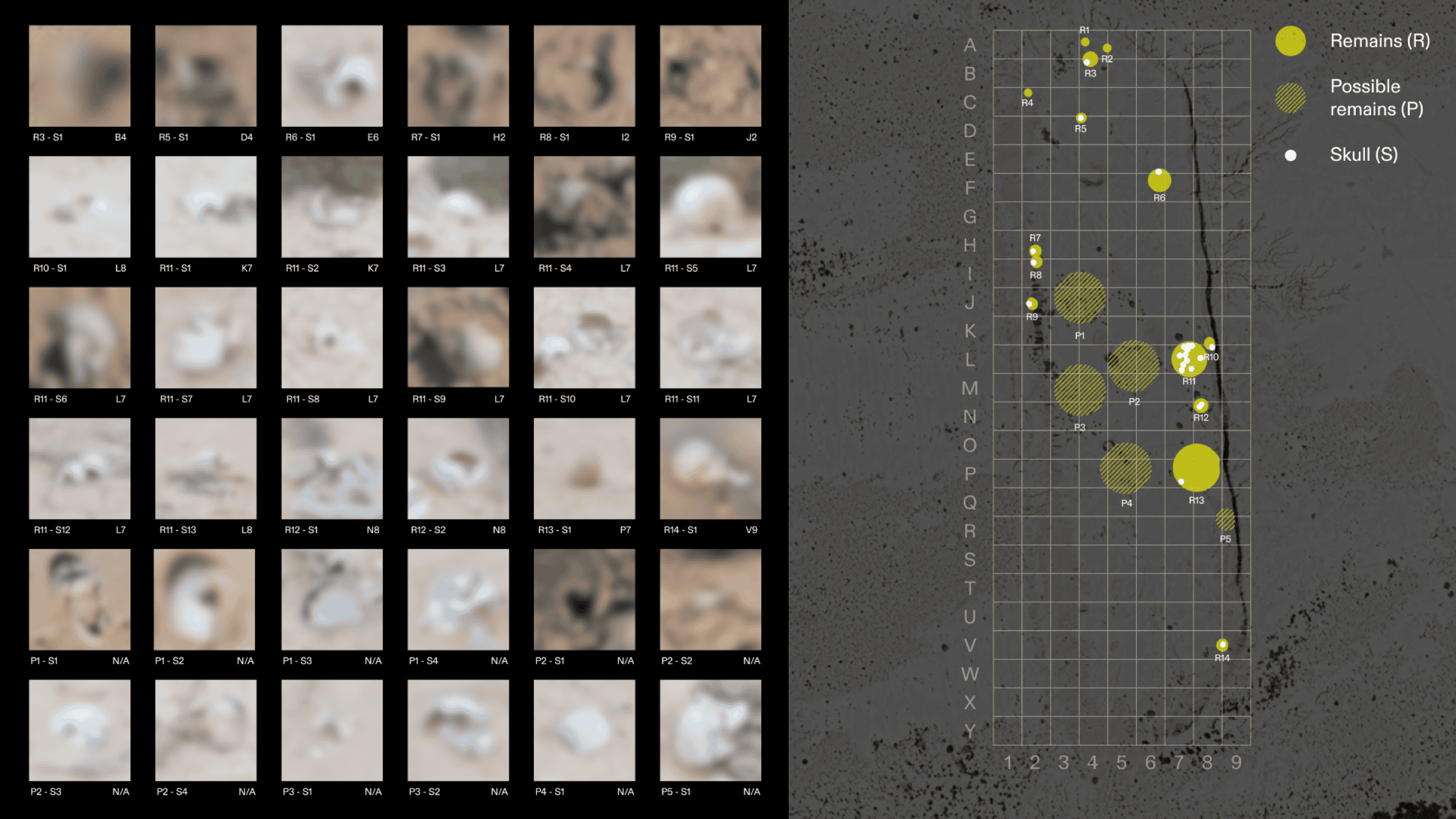  - Images of skulls (blurred for graphic content) documented at the mass grave site (left). A map of the locations of the skulls within the mass grave site (right). External image source: Sinai Foundation for Human Rights. (Forensic Architecture, 2025)