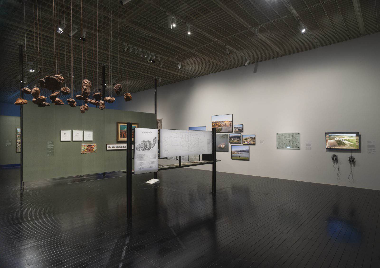 Histories of Ecology